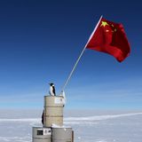Ein Pinguin sitz bei Dome Argus auf einem Berg aus Fässern