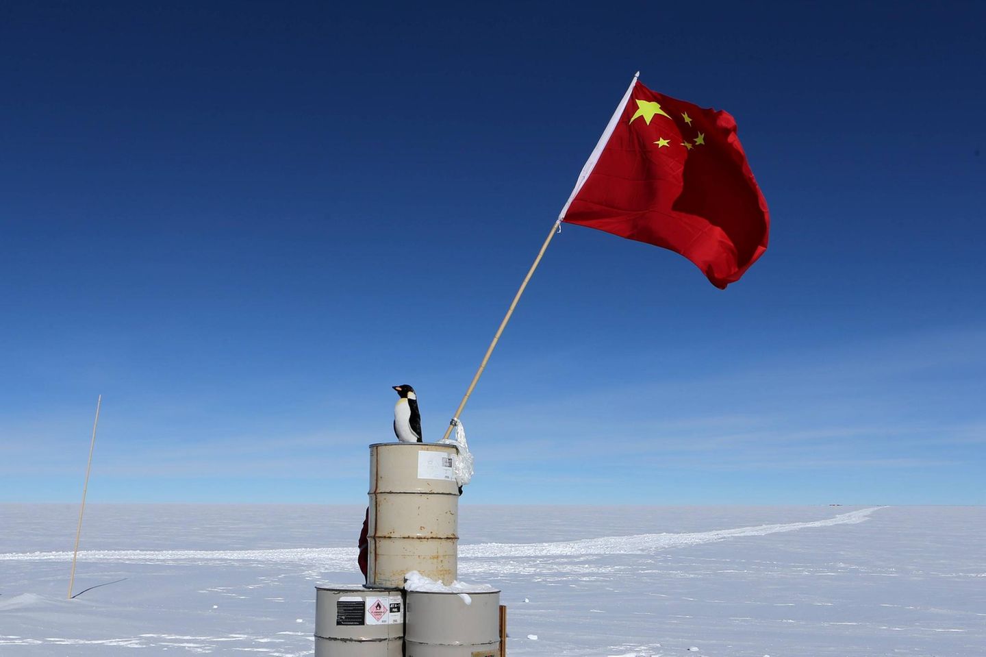 Ein Pinguin sitz bei Dome Argus auf einem Berg aus Fässern Ein Pinguin sitz bei Dome Argus auf einem Berg aus Fässern