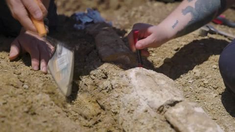 Großbritannien: Uraltes Skelett am Strand gefunden: 200 Jahre alte Knochen sollen zu gestrandetem Seemann gehören
