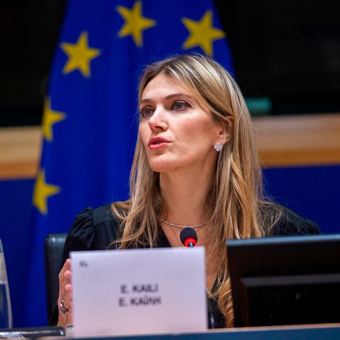 Eva Kail, Vizepräsidentin des EU-Parlaments