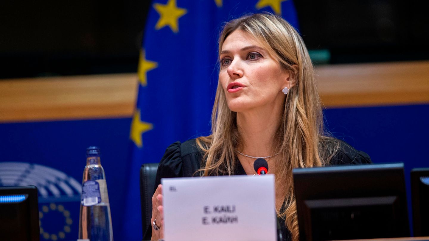 Eva Kail, Vizepräsidentin des EU-Parlaments