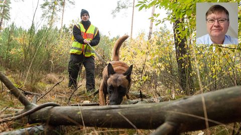 Eine Polizeikommissarin geht mit ihren Spürhund Jack auf die Suche nach einem Vermissten