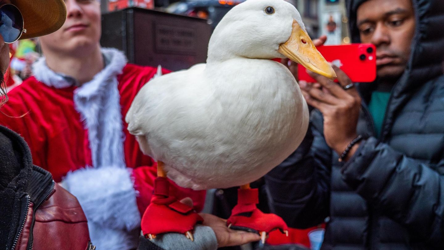 Teilnehmer der SantaCon halten eine Ente in den Händen