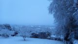 Winter Wonderland am Morgen danach: Gegen Mittag waren die Straßen wieder befahrbar