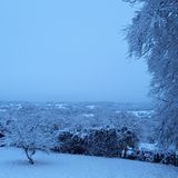 Winter Wonderland am Morgen danach: Gegen Mittag waren die Straßen wieder befahrbar