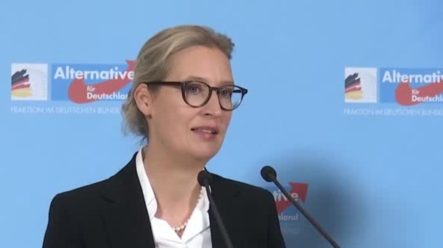 Alice Weidel: AfD chairwoman criticizes Reich citizen raid (video)