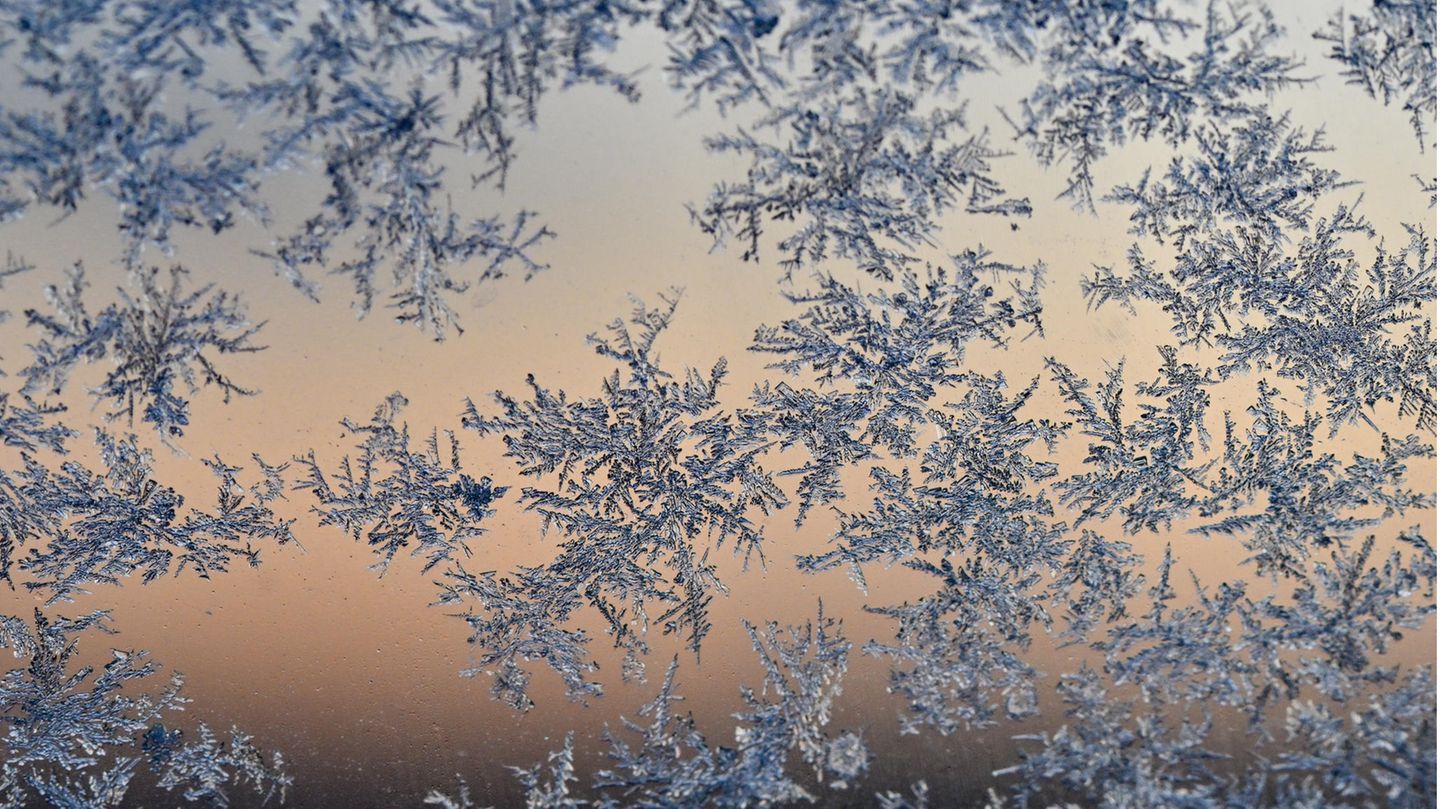 Eisblumen verzieren bei minus neun Grad Celsius die Scheibe eines Autos im brandenburgischen Sieversdorf