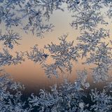 Eisblumen verzieren bei minus neun Grad Celsius die Scheibe eines Autos im brandenburgischen Sieversdorf