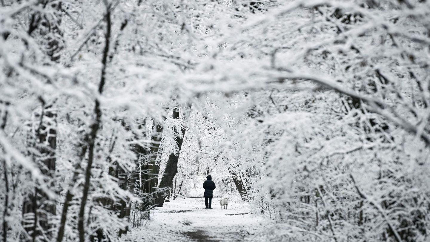 Winterwunderland: Ein Mann spaziert mit seinem Hund durch einen Park der bulgarischen Hauptstadt Sofia