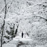 Winterwunderland: Ein Mann spaziert mit seinem Hund durch einen Park der bulgarischen Hauptstadt Sofia