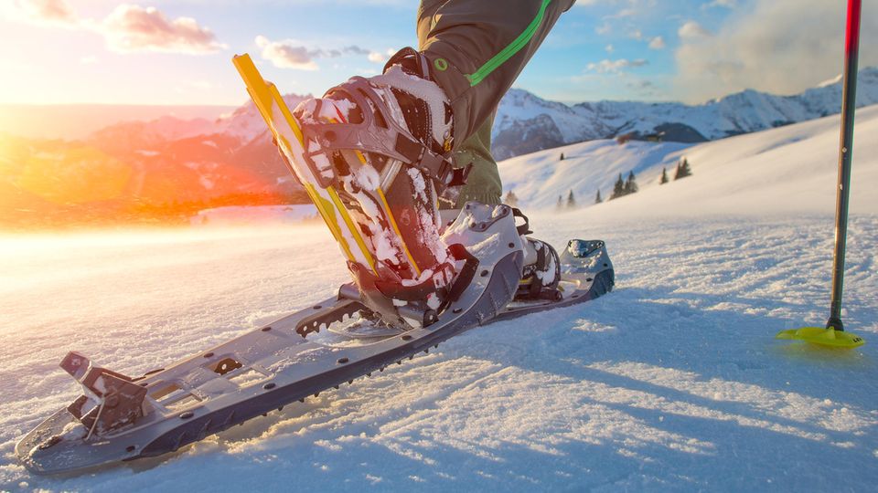 michelangeloop / Adobe Stock