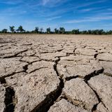 Trockene Donau-Sandbank