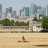 Mann sonnt sich in vertrocknetem Park