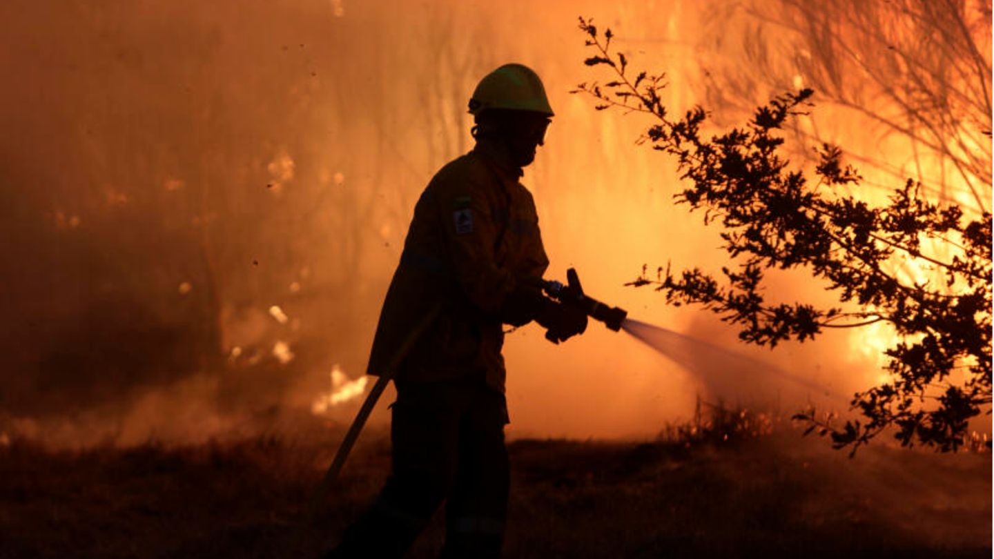 Feuerwehrmann kämpft mit Waldbrand Feuerwehrmann kämpft mit Waldbrand