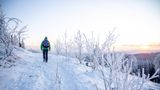 Hessen: Winterwanderung auf den schönsten Berg im Taunus  Der Altkönig ist zwar nicht der höchste Berg im hessischen Taunus-Gebirge, aber wohl der schönste. Mit seinen knapp 800 Höhenmetern ist er auch für unerfahrene Bergwanderer ein perfektes Ausflugsziel für die Winterwanderung. Der entsprechende Wanderweg startet am Wanderparkplatz im kleinen Ort Hohemark. Auf 10,5 Kilometern führt er dann mit leichter Steigung bis zum Kronberg. Von dort aus fährt eine S-Bahn zurück zum Start. Mehr Infos. 