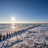 Das Niedersächsische Wattenmeer im Winter
