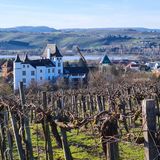 Saarland: Aussichtsreiche Winterwanderung durch das Dreiländereck  Eine wirklich aussichtsreiche Winterwanderung im Dreiländereck beginnt am Wanderparkplatz "Rabüscheck". Der rund zwölf Kilometer lange Rundweg führt direkt durch das deutsch-französische Naturschutzgebiet Hammelsberg und bietet Wanderern tolle Weitsicht bis nach Luxemburg und Frankreich. Ein weiteres Highlight der Route ist das saarländische Weinanbaugebiet Perl. Mehr Infos. 