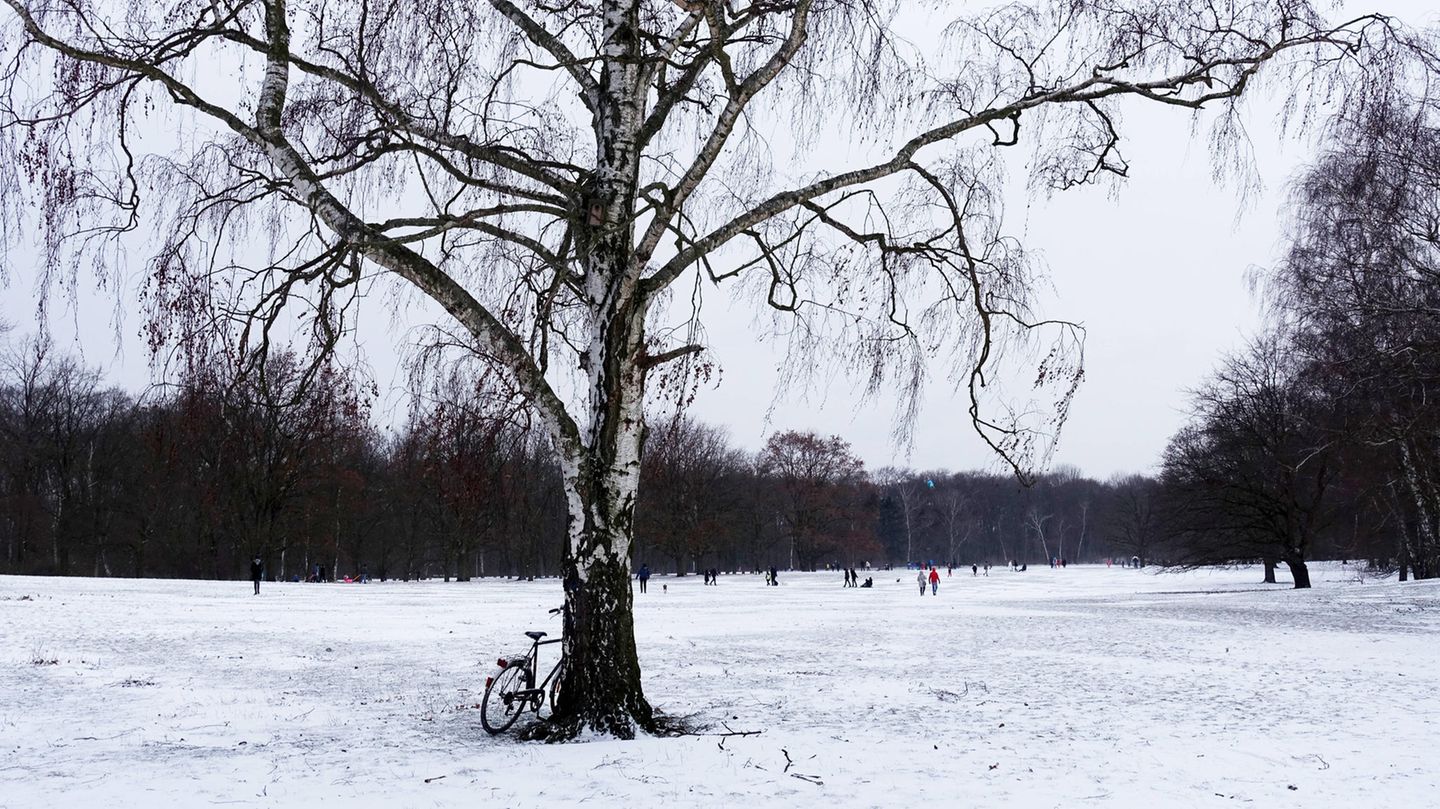 Berlin: Gemütlich durch den Volkspark Rehberge schlendern  Zugegeben, Berlin ist nicht gerade für schöne Winterlandschaften bekannt. Aber unsere Hauptstadt bietet trotzdem viele Orte, die wie gemacht sind für einen gemütlichen Winterspaziergang. Einer davon ist der Volkspark Rehberge im Berliner Stadtteil Wedding. Auf insgesamt 115 Hektar bietet der Naturpark viel Abwechslung zwischen Wald, Wiesen und Seen. Mehr Infos. 