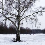 Berlin: Gemütlich durch den Volkspark Rehberge schlendern  Zugegeben, Berlin ist nicht gerade für schöne Winterlandschaften bekannt. Aber unsere Hauptstadt bietet trotzdem viele Orte, die wie gemacht sind für einen gemütlichen Winterspaziergang. Einer davon ist der Volkspark Rehberge im Berliner Stadtteil Wedding. Auf insgesamt 115 Hektar bietet der Naturpark viel Abwechslung zwischen Wald, Wiesen und Seen. Mehr Infos. 