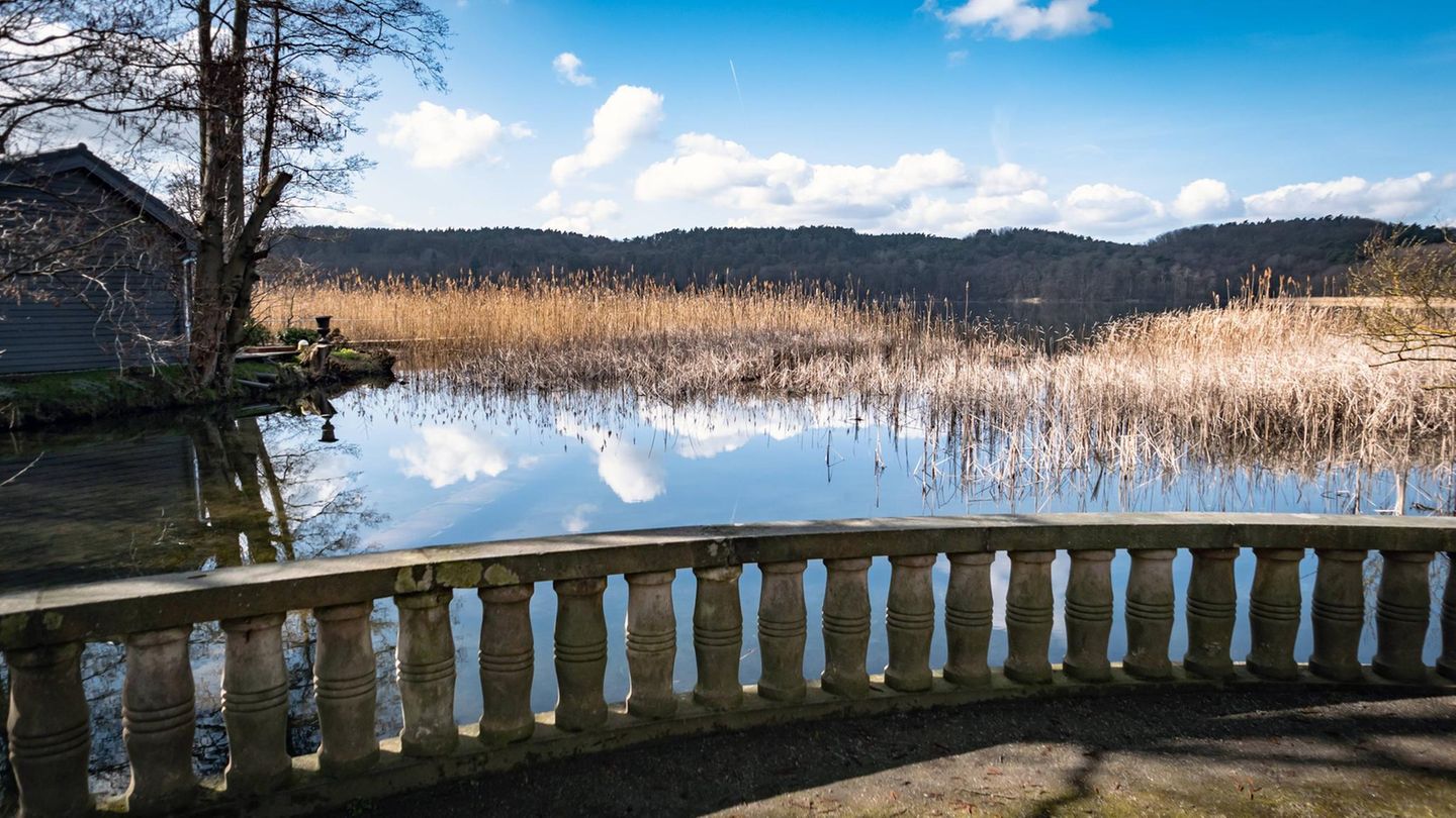 Blick auf den Großen Tornowsee
