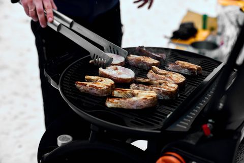 Gasgrill Zubehör: Gegrillter Fisch auf einem mobilen Gasgrill