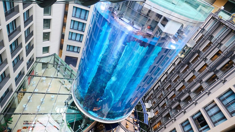 Aquarium geplatzt: Großeinsatz der Feuerwehr in Berlin