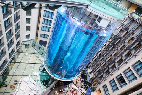 Aquarium geplatzt: Großeinsatz der Feuerwehr in Berlin