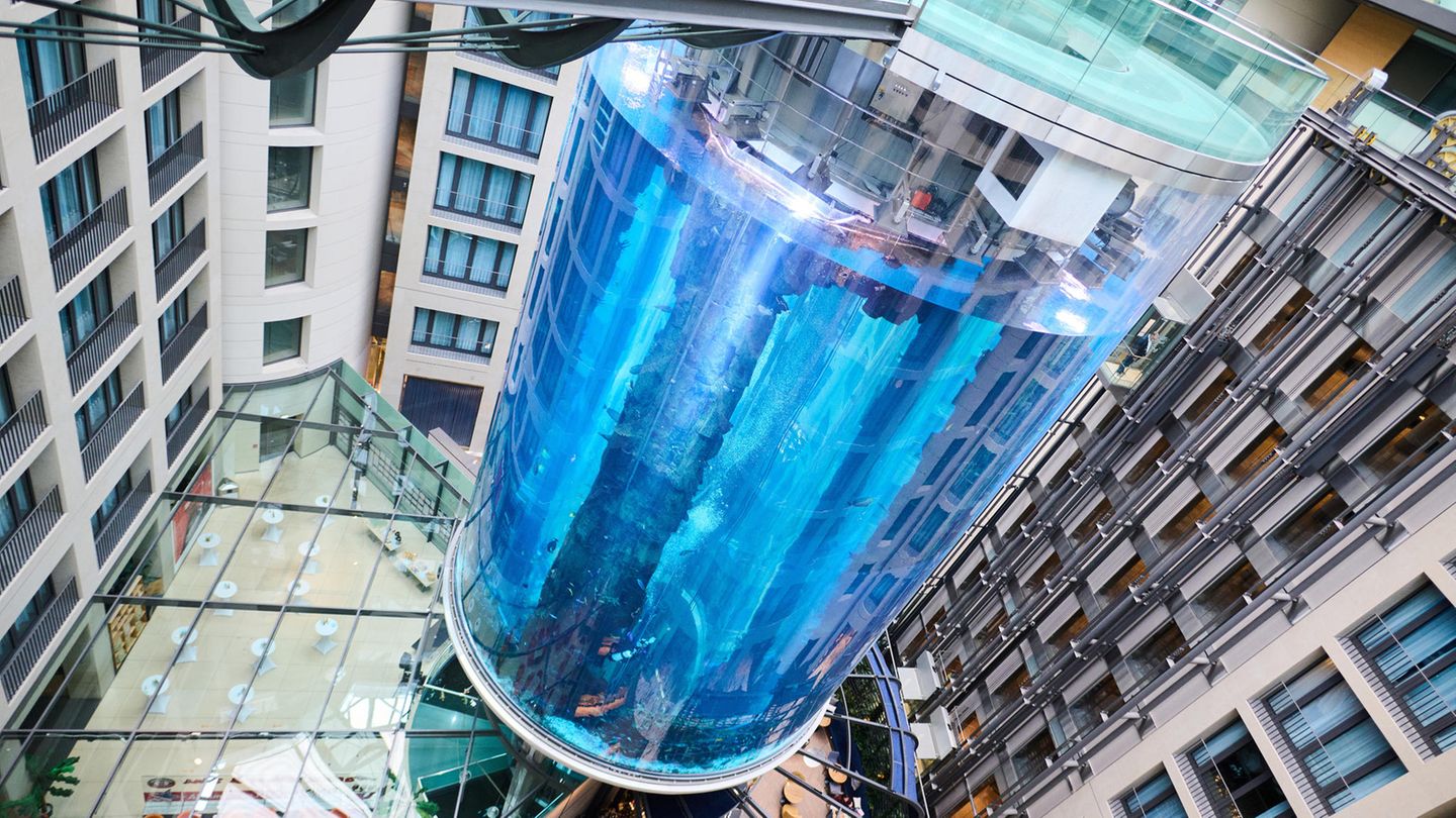 Aquarium Berlin