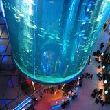 Der Aquadom im Berliner Radisson Blu Hotel gilt als das größte Zylinder-Aquarium der Welt. Rund 1500 tropische Fische haben in dem mit rund einer Millionen Liter Salzwasser gefüllten und 25 Meter hohen Aquarium gelebt, das in der Nacht vom 15. auf den 16. Dezember 2022 geplatzt ist. Mehr Infos. 