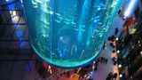 Der Aquadom im Berliner Radisson Blu Hotel gilt als das größte Zylinder-Aquarium der Welt. Rund 1500 tropische Fische haben in dem mit rund einer Millionen Liter Salzwasser gefüllten und 25 Meter hohen Aquarium gelebt, das in der Nacht vom 15. auf den 16. Dezember 2022 geplatzt ist. Mehr Infos. 