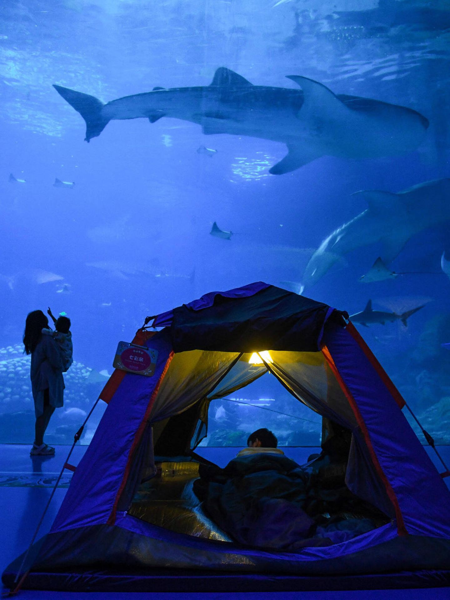 Das Chimelong Ocean Kingdom in Zuhai, China