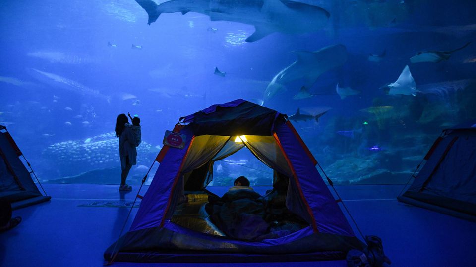 Das Chimelong Ocean Kingdom in Zuhai, China