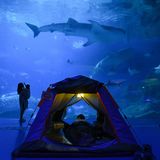 Das Chimelong Ocean Kingdom in Zuhai, China