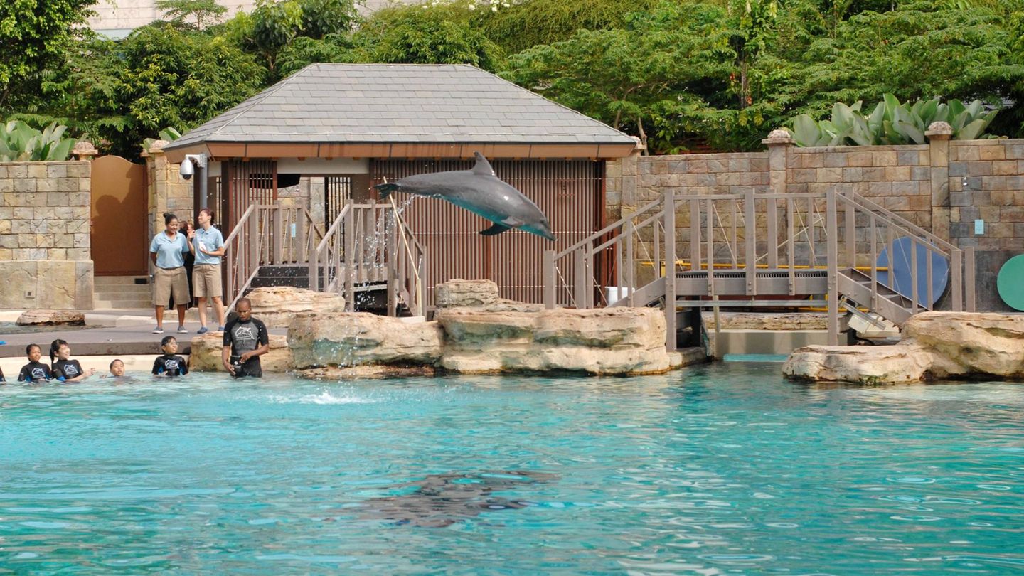 der Marine Life Park in Sentosa in Singapur der Marine Life Park in Sentosa in Singapur