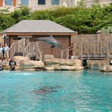 der Marine Life Park in Sentosa in Singapur