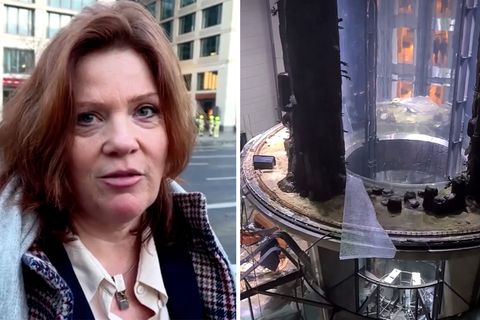 Augenzeugin berichtet von geplatztem Groß-Aquarium: "Die vielen toten Fische, ein Drama"