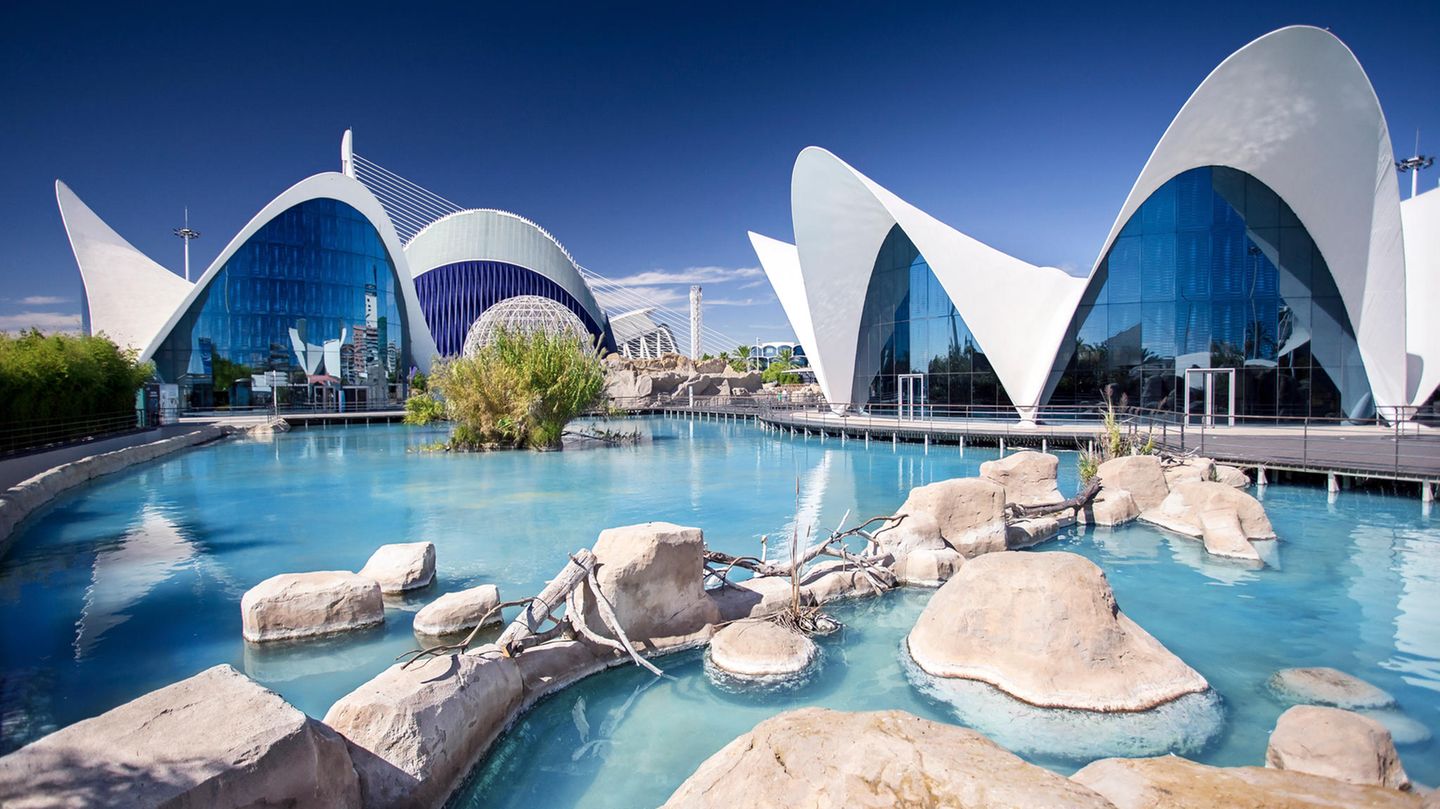 Das Oceanogràfic in Valencia Das Oceanogràfic in Valencia