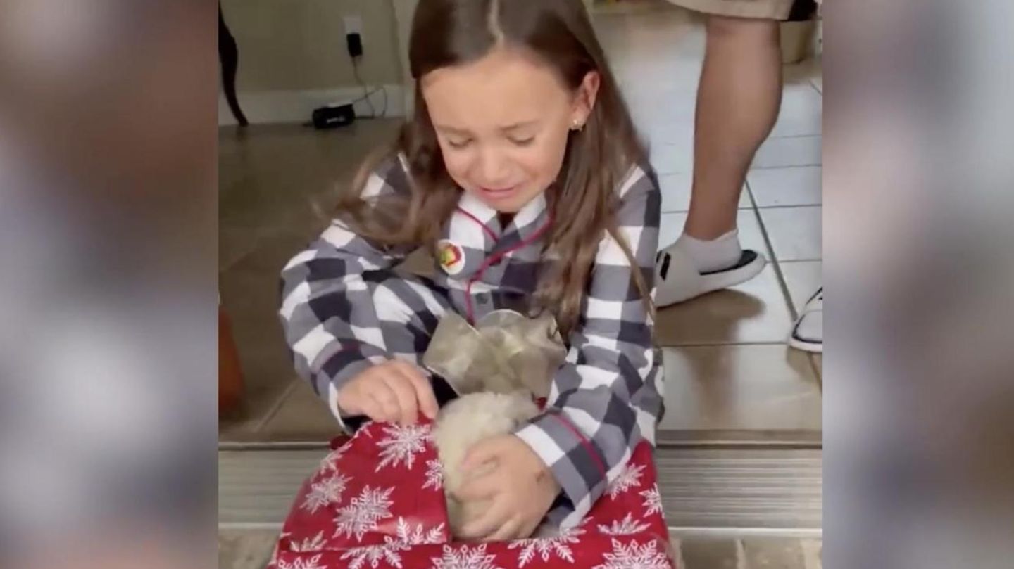 Tears of joy: seven-year-old gets a puppy as a gift