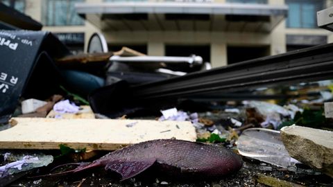 Das Unglück im Aquadom in Berlin hat rund 1500 Fische das Leben gekostet