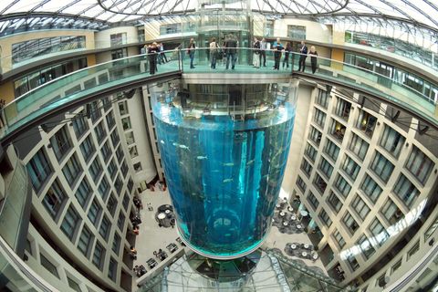 Eine extremes Weitwinkel-Foto mit verzerrten Linien zeigt den Aquadom und das ihn umgebende Gebäude im Jahr 2015