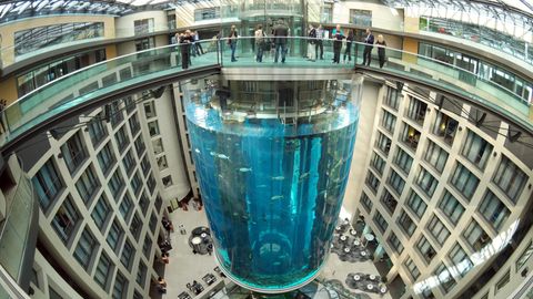 Eine extremes Weitwinkel-Foto mit verzerrten Linien zeigt den Aquadom und das ihn umgebende Gebäude im Jahr 2015