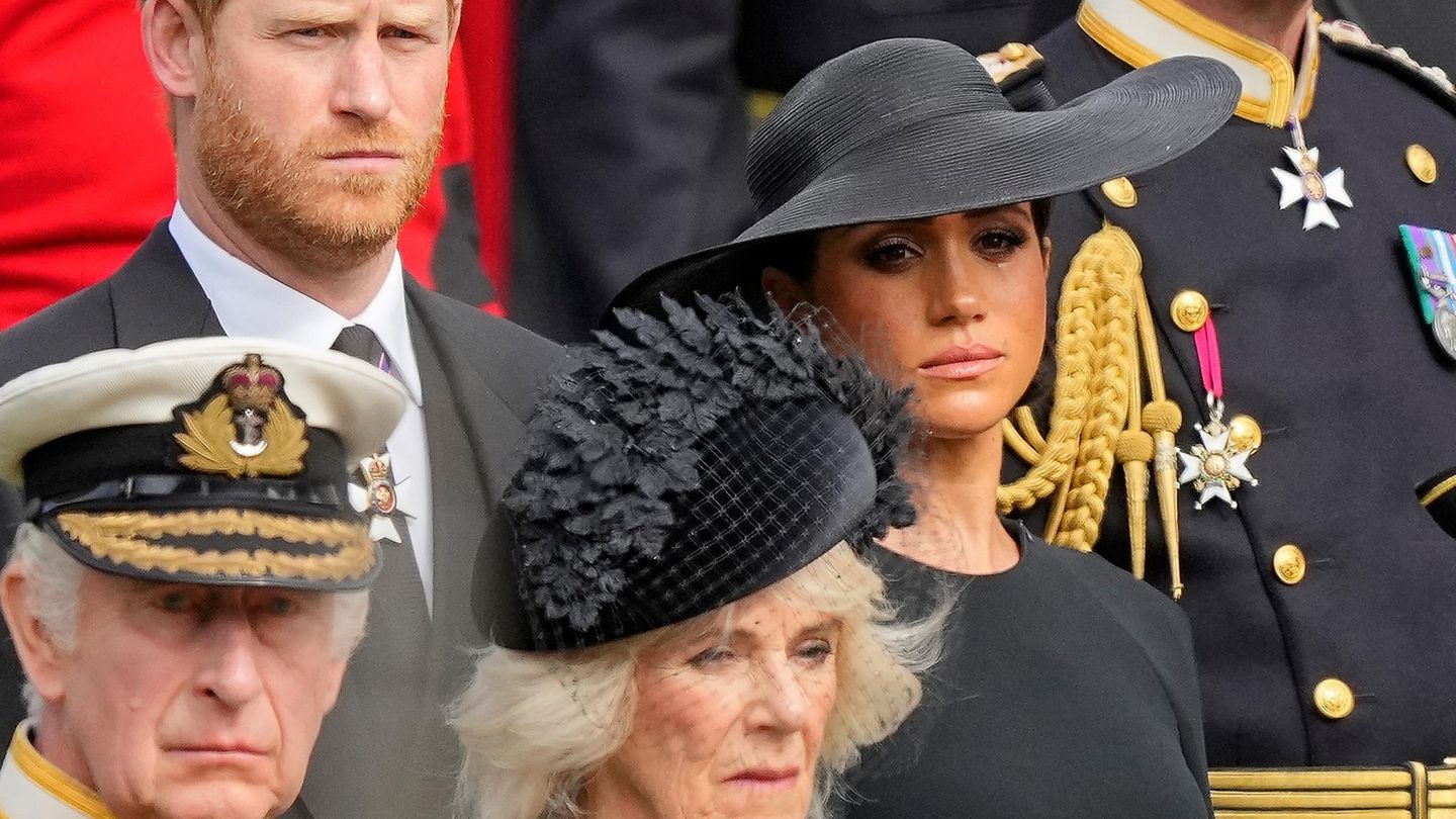 Meghan & Prince Harry: PR battle also fueled Charles and William