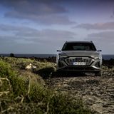 Audi Q8 55 e-tron quattro
