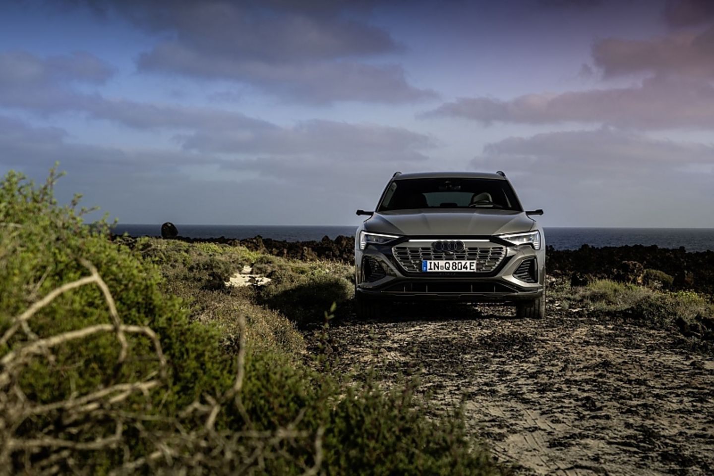 Audi Q8 55 e-tron quattro