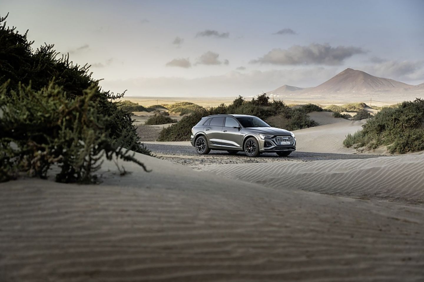 Audi Q8 55 e-tron quattro