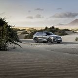 Audi Q8 55 e-tron quattro