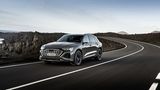 Audi Q8 55 e-tron quattro