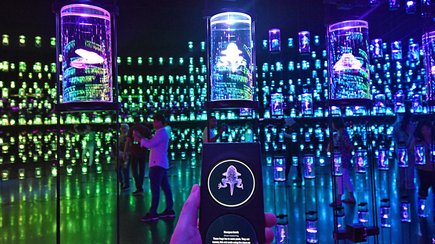 Museum of the Future