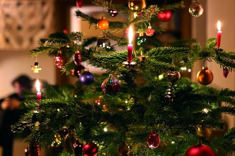 Ein geschmückter Weihnachtsbaum mit brennenden Kerzen