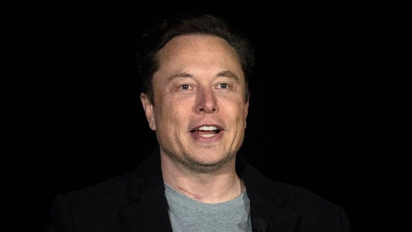 Elon Musk: His mother defended him on Twitter